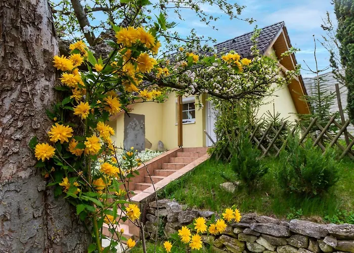 Apartmanovy Dum Vilemovice